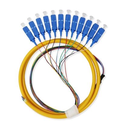 kaufen 12-adriges Singlemode-SC-Glasfaser-Pigtail-Kabel für flexible Netzwerkkommunikationssysteme Online-Herstellung